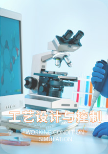 工艺设计与控制