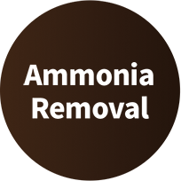 High-Efficiency Ammonia Purification